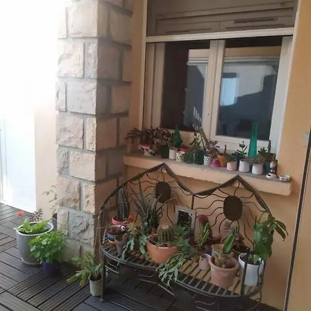 Maison Piscine Et Pkg Prives En Petite Camargue