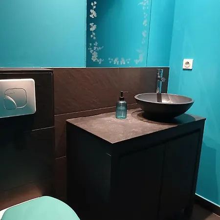 Maison Piscine Et Pkg Prives En Petite Camargue *