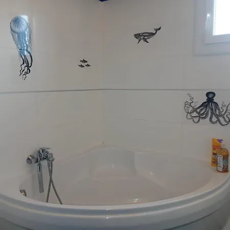 Maison Piscine Et Pkg Prives En Petite Camargue * Beauvoisin (Gard)