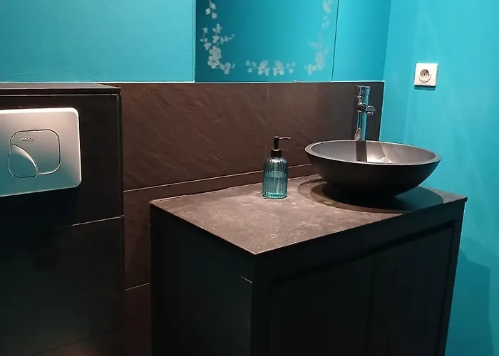 Maison Piscine Et Pkg Prives En Petite Camargue *