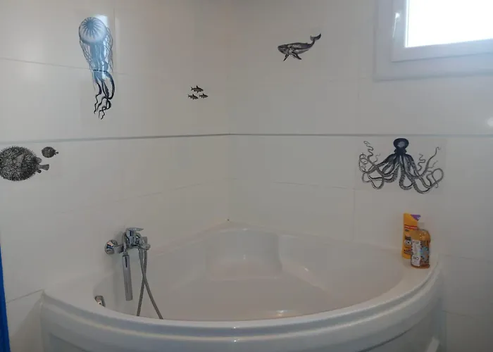 Maison Piscine Et Pkg Prives En Petite Camargue * Beauvoisin (Gard)